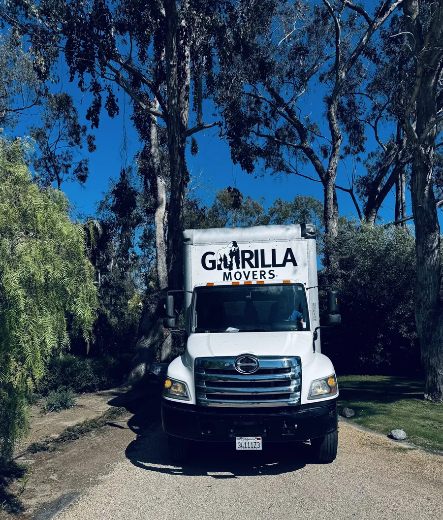 A Gorilla Movers box truck parked on a narrow gravel driveway beneath tall eucalyptus trees during a Rancho Santa Fe estate move