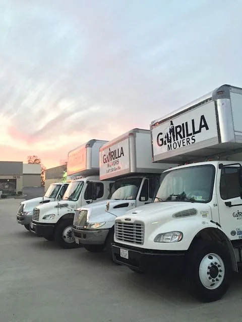 Gorilla Movers trucks lined up at the yard at sunset