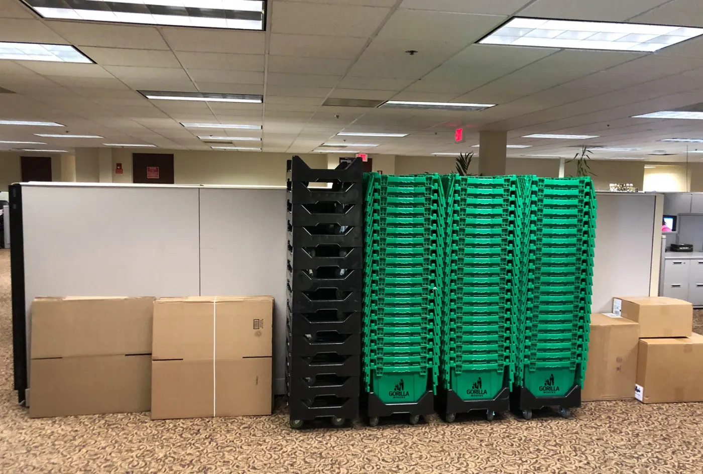 Green Gorilla Movers crates and boxes staged in a San Diego office for a commercial move