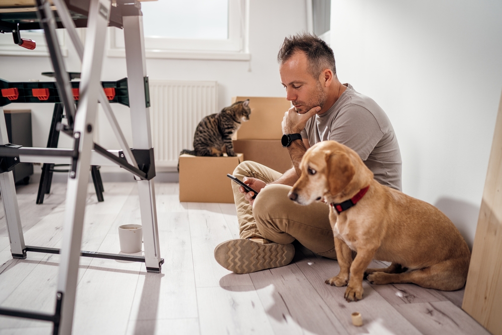 What Is The Best Way To Move With Pets